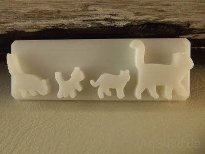 Katzenfamilie